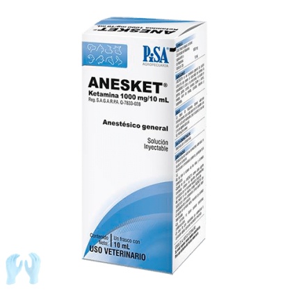 Anesket